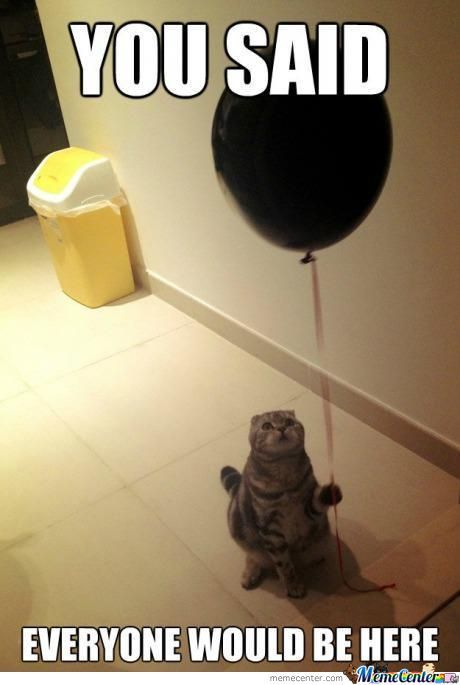sad-birthday-cat_o_442046